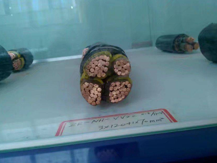 1647507787(1).png