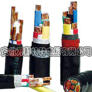 輻照電纜